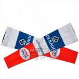 Colnago Arm Warmer 2010 Cycling