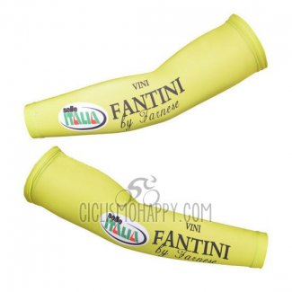 Vini Fantini Arm Warmer 2013 Cycling